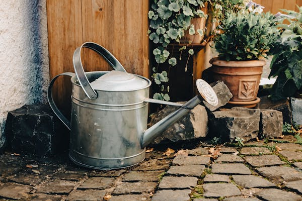 Welk tuinonderhoud moet u in de nazomer uitvoeren voor een goede start richting de herfst?